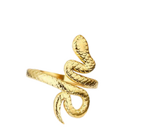 Load image into Gallery viewer, Snake Toe Ring
