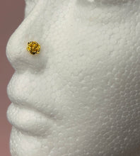 Load image into Gallery viewer, 24K Blossom Nose Stud
